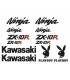 Kit Kawasaki ZX-10R Playboy