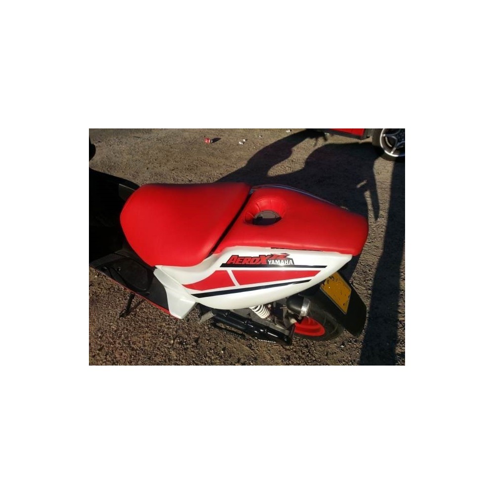 Pegatinas en vinilo para AEROX | Compra online