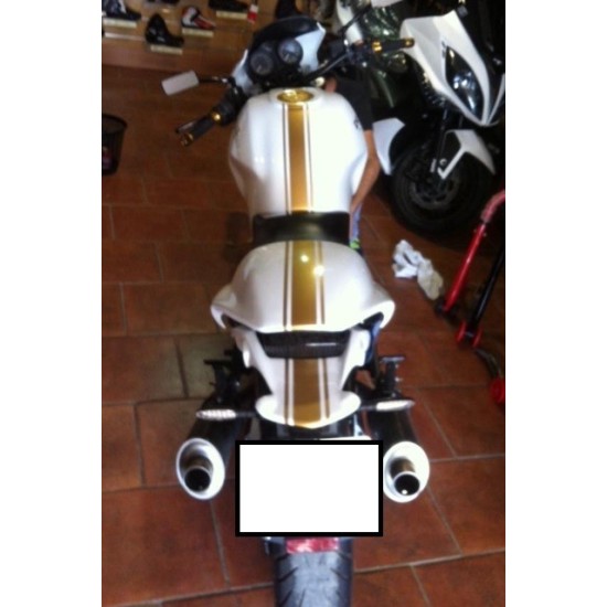 Pegatinas en vinilo para DUCATI MONSTER | Compra online