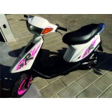 Pegatinas en vinilo para JOG RR | Compra online