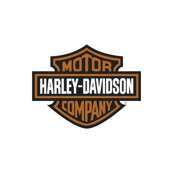 LOGO HARLEY DAVISON MOTOR COMPANY