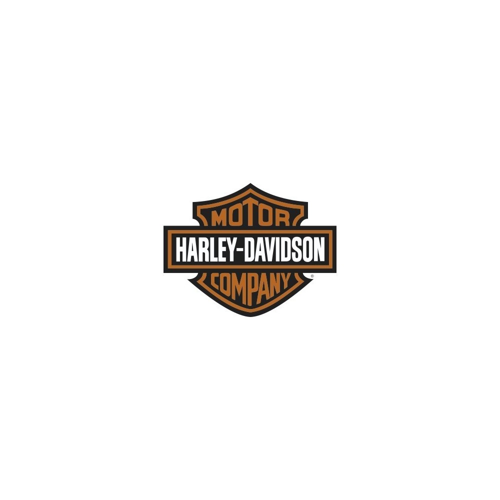 LOGO HARLEY DAVISON MOTOR COMPANY
