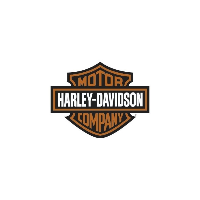 LOGO HARLEY DAVISON MOTOR COMPANY