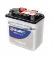 Bateria Tecnium  6N6-3B