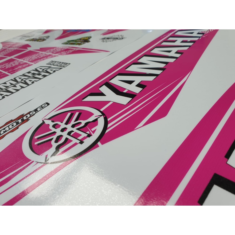 Pegatinas en vinilo para JOG RR | Compra online