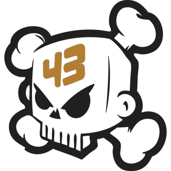 LOGO KEN BLOCK CALAVERA 43