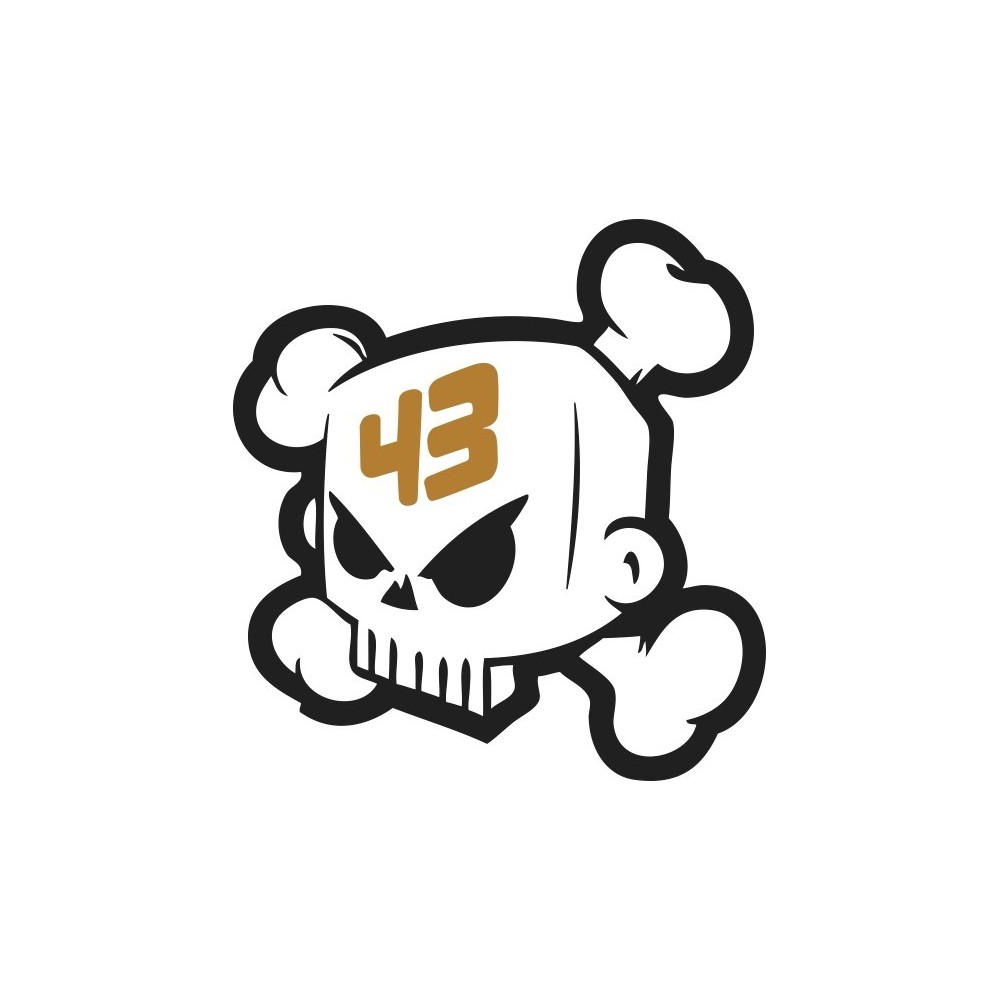 LOGO KEN BLOCK CALAVERA 43