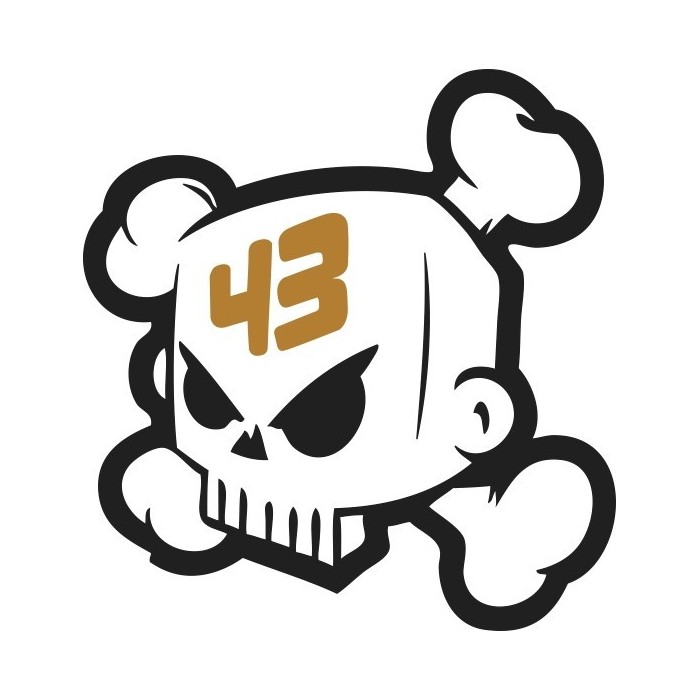 LOGO KEN BLOCK CALAVERA 43