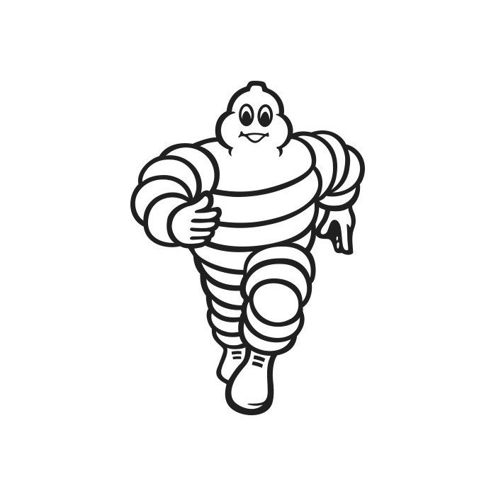 LOGO MICHELIN