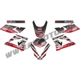 Pegatinas en vinilo para CPI 50 SM 08-10 | Compra online