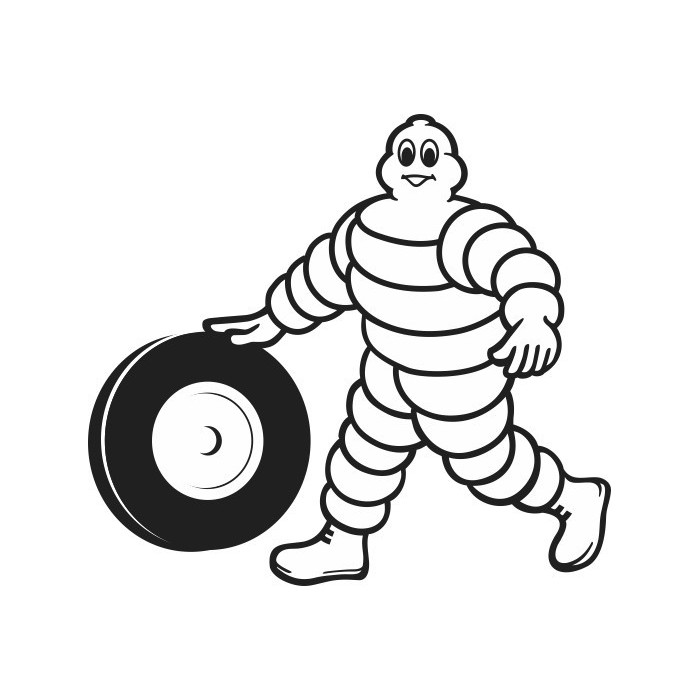 LOGO MICHELIN