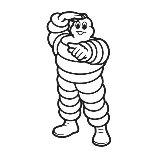 LOGO MICHELIN