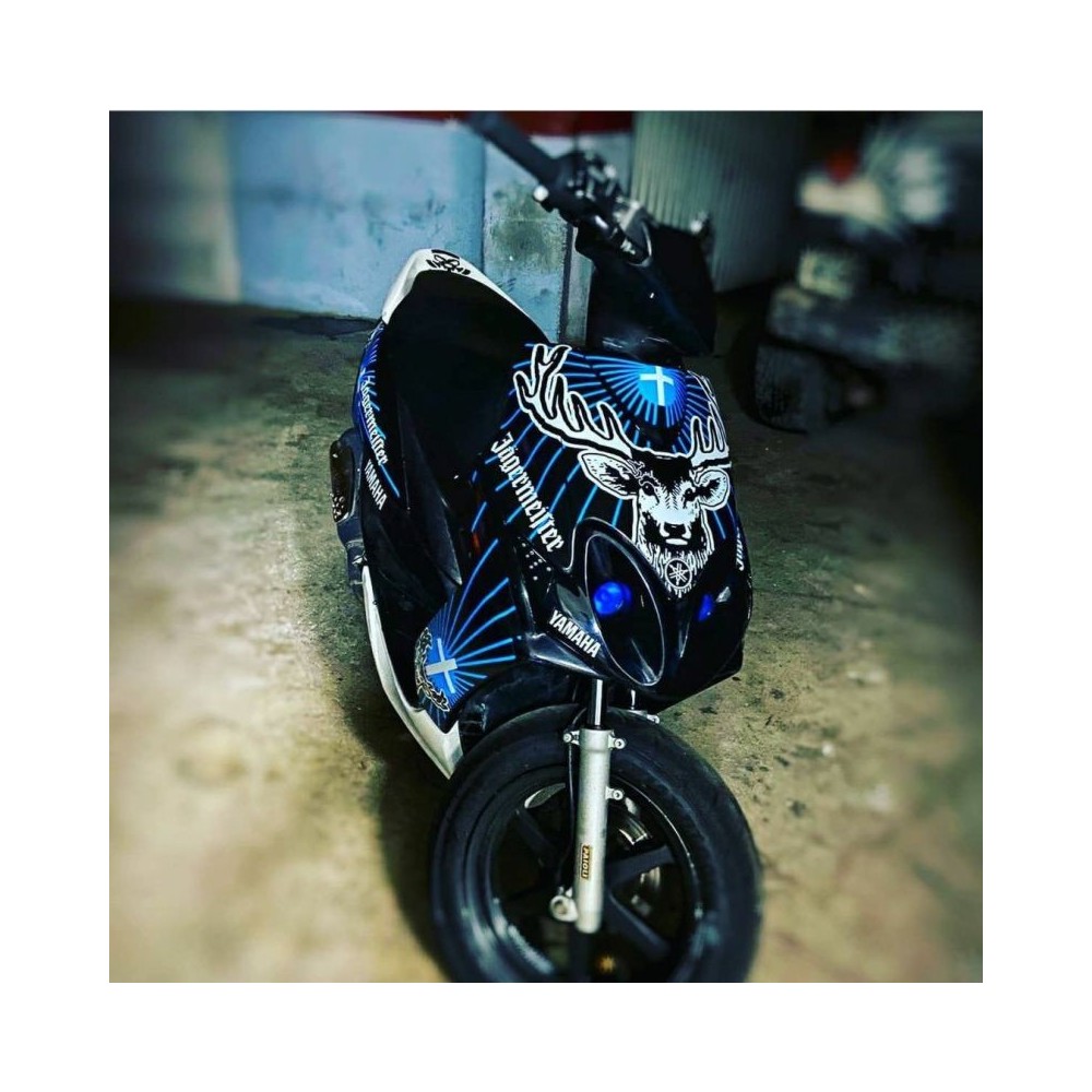 Pegatinas en vinilo para JOG RR | Compra online