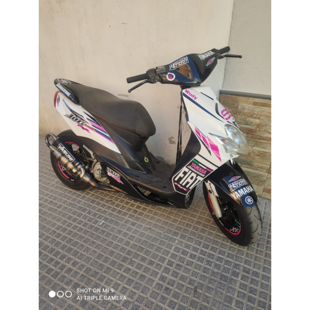 Pegatinas en vinilo para JOG RR | Compra online