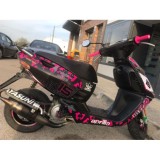 Pegatinas en vinilo para SONIC | Compra online