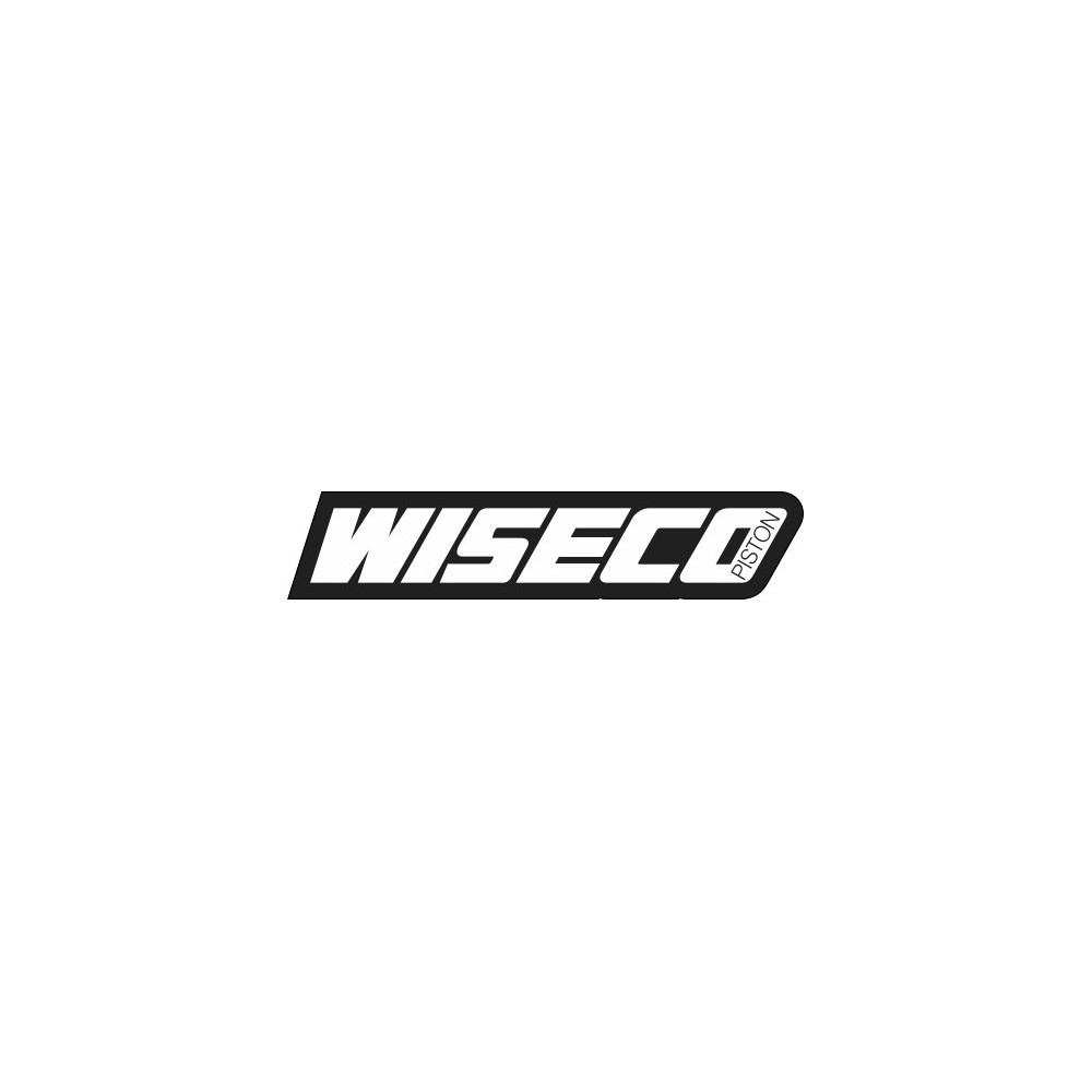 LOGO WISECO