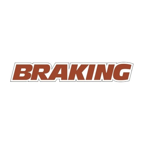 LOGO BRAKING