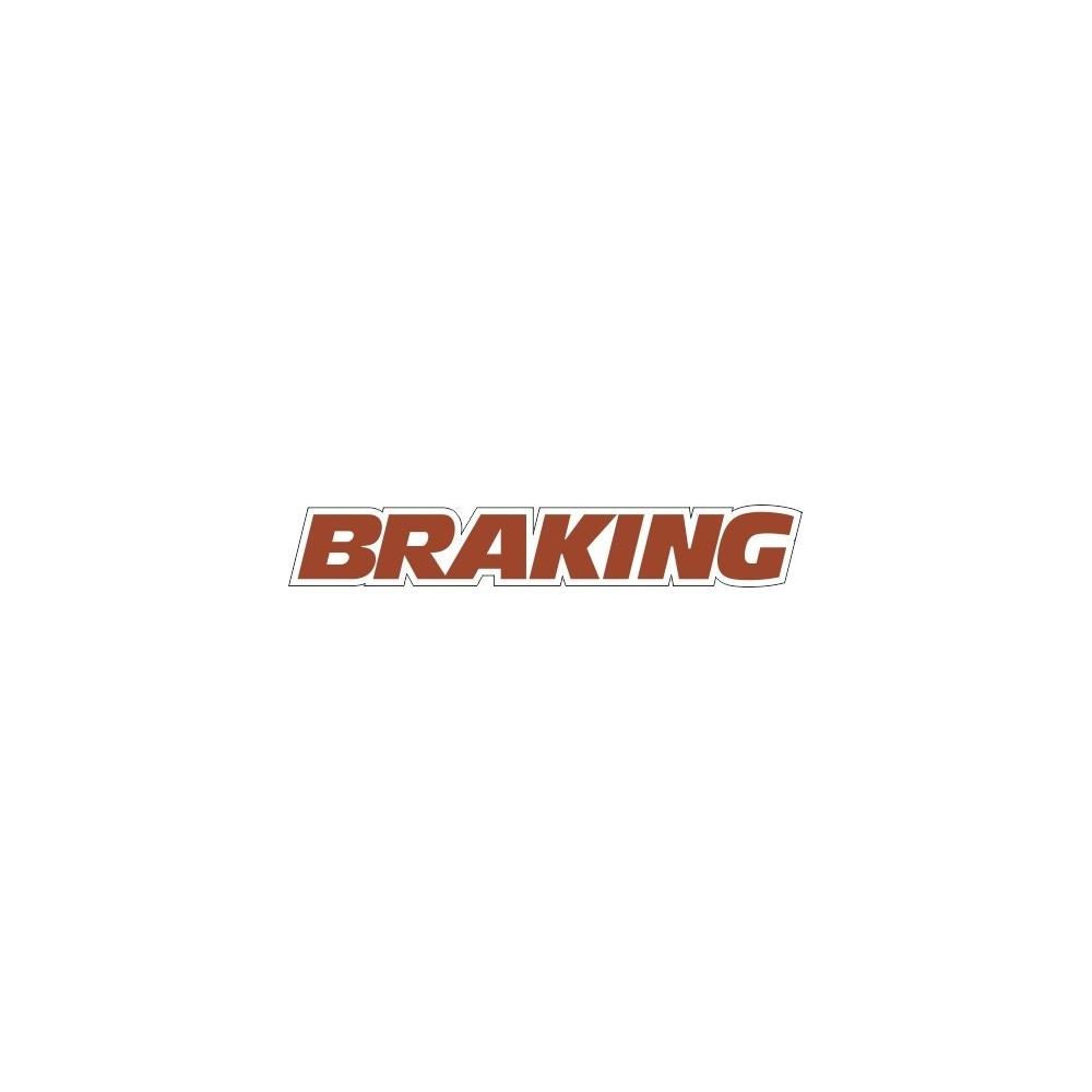LOGO BRAKING