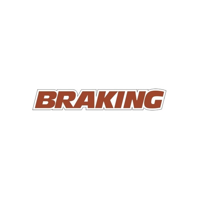 LOGO BRAKING