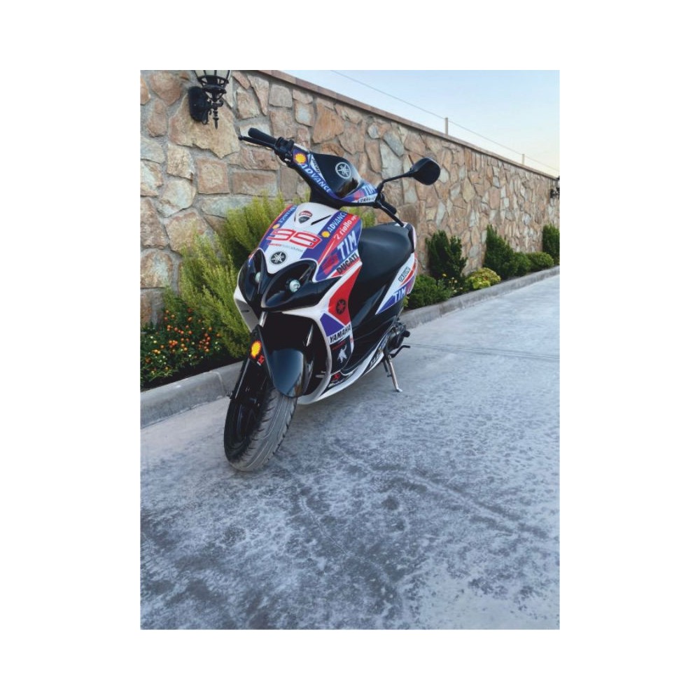 Pegatinas en vinilo para JOG RR | Compra online