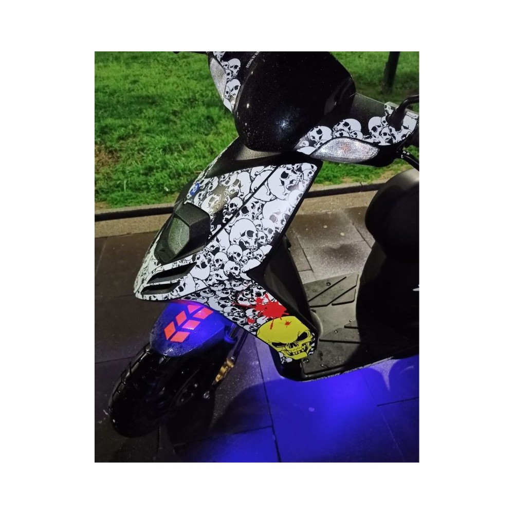 Pegatinas en vinilo para TYPHOON SR | Compra online