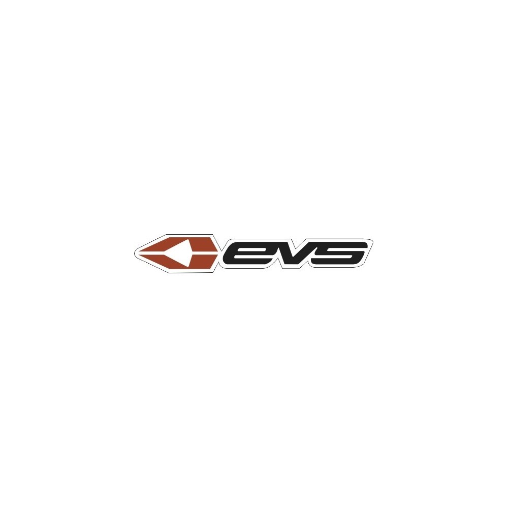 LOGO EVS
