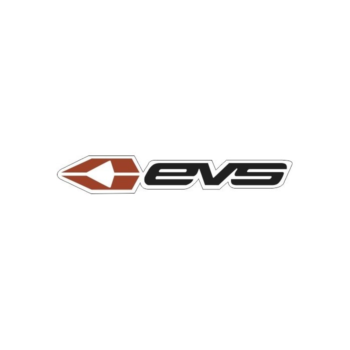 LOGO EVS