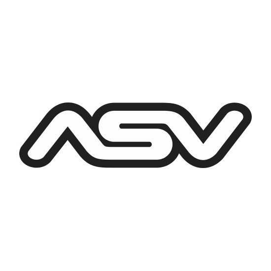 LOGO ASV