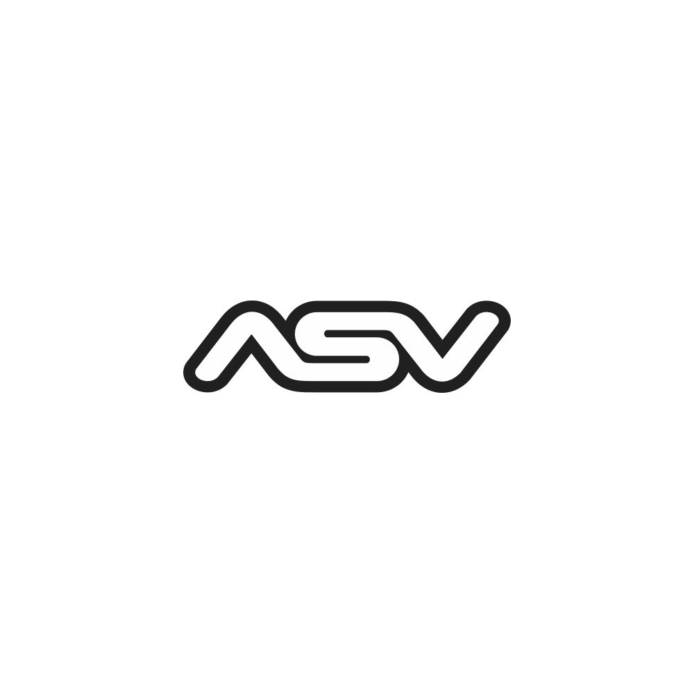 LOGO ASV