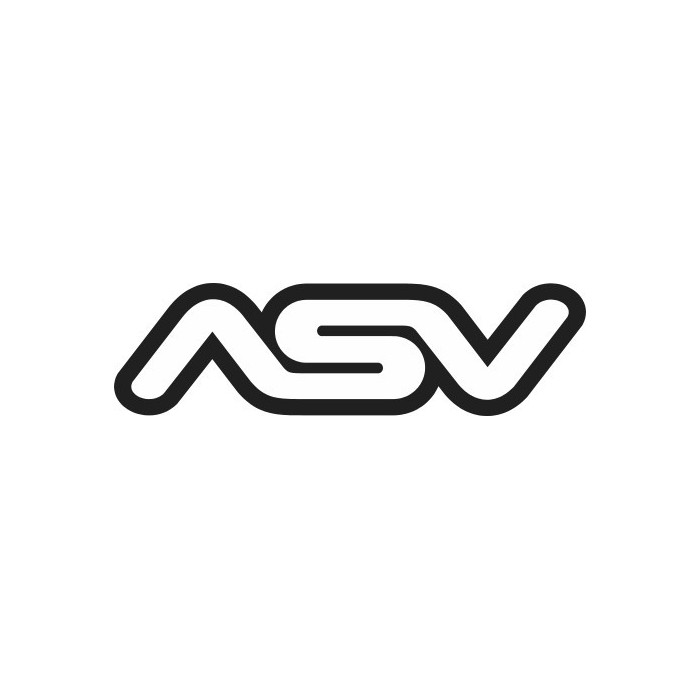 LOGO ASV