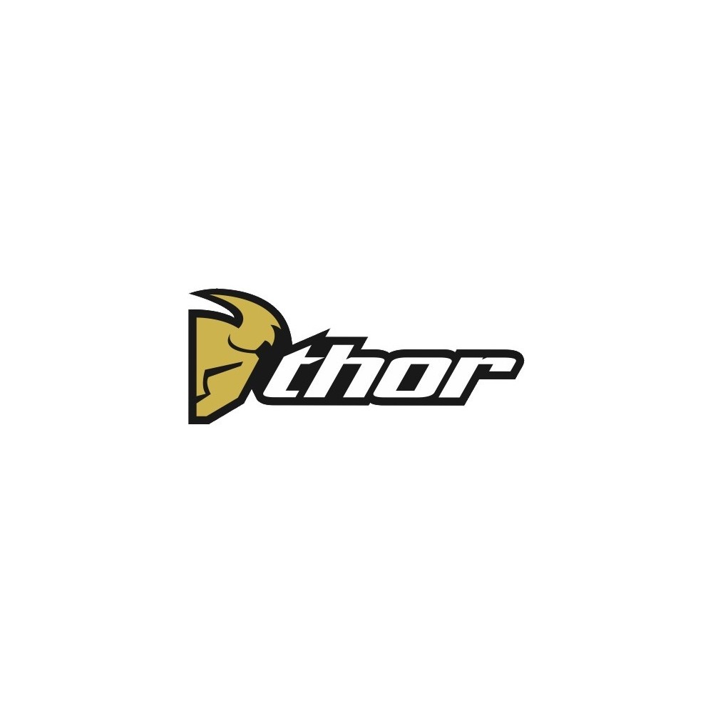 LOGO THOR