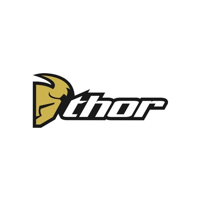 LOGO THOR