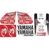 Pegatinas en vinilo para AEROX | Compra online