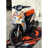 Pegatinas en vinilo para JOG RR | Compra online