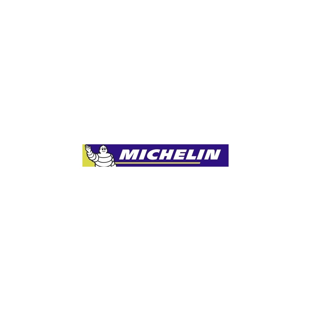 LOGO MICHELIN