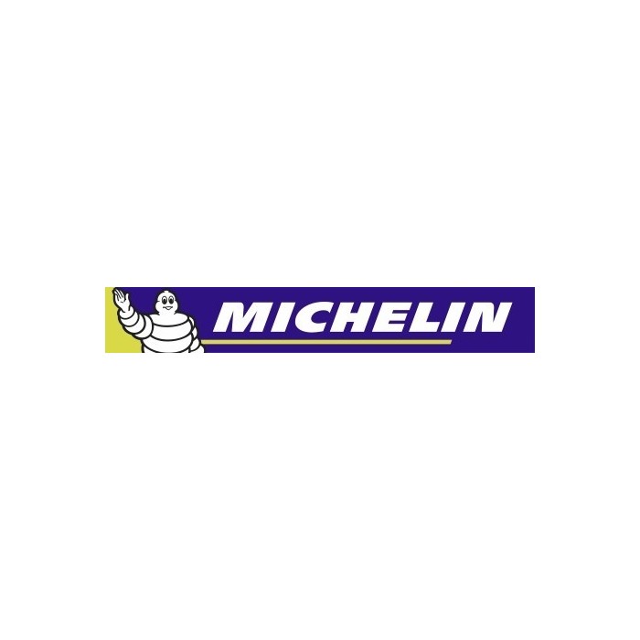 LOGO MICHELIN