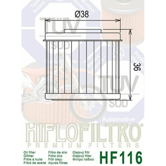 Filtro de Aceite Hiflofiltro HF116 | RCMotos