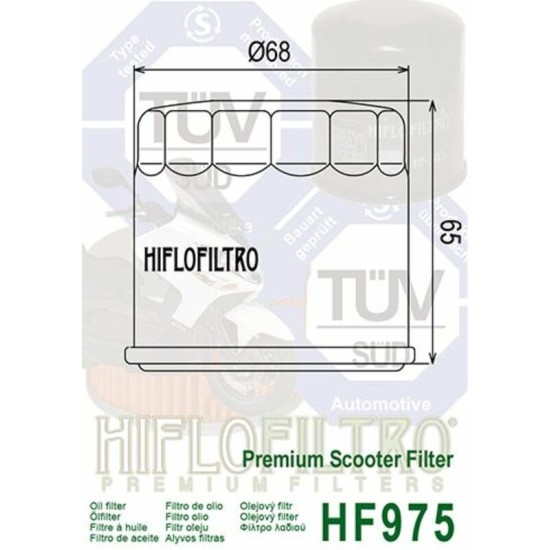 Filtro de Aceite Hiflofiltro HF975 | RCMotos