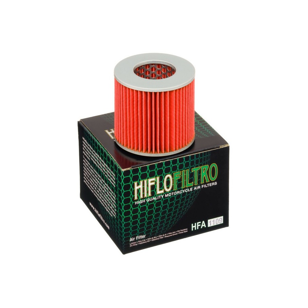 Filtro de Aire Hiflofiltro HFA1109 | RCMotos