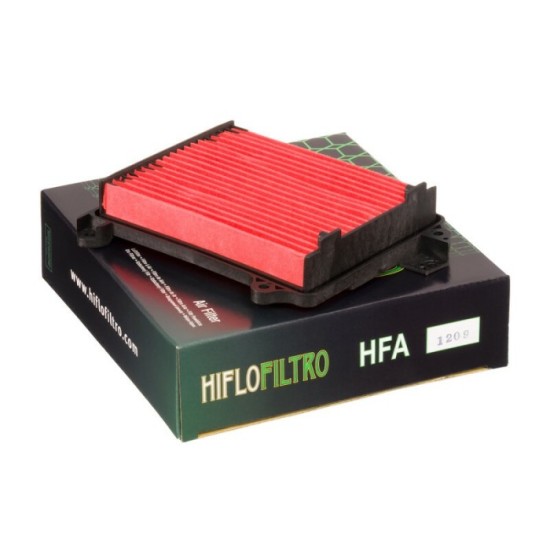 Filtro de Aire Hiflofiltro HFA1209 | RCMotos