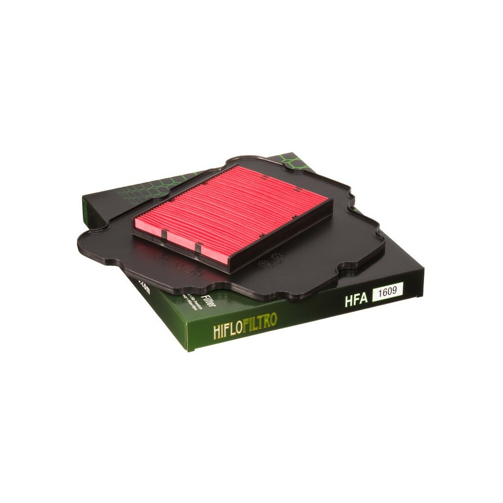 Filtro de Aire Hiflofiltro HFA1609 | RCMotos