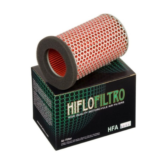 Filtro de Aire Hiflofiltro HFA1613 | RCMotos