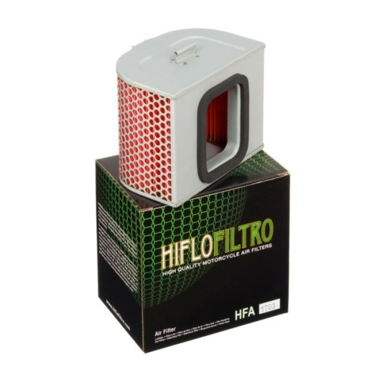 Filtro de Aire Hiflofiltro HFA1703 | RCMotos