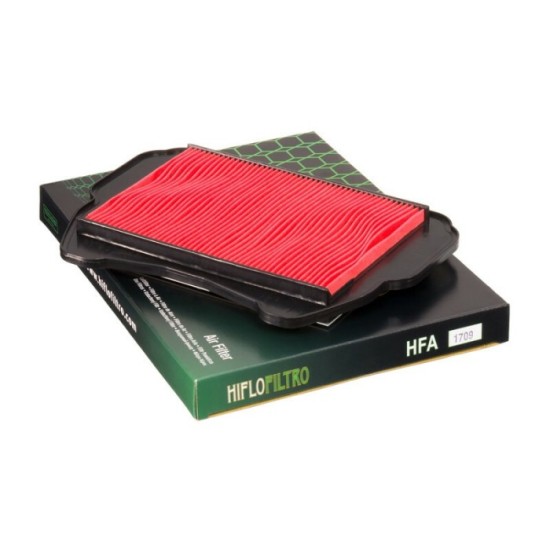 Filtro de Aire Hiflofiltro HFA1709 | RCMotos