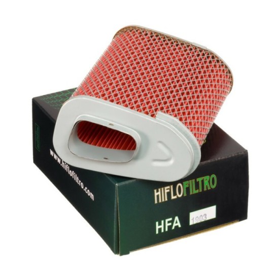 Filtro de Aire Hiflofiltro HFA1903 | RCMotos