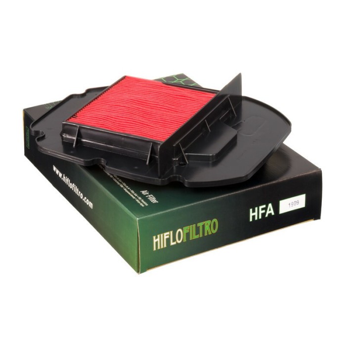 Filtro de Aire Hiflofiltro HFA1909 | RCMotos