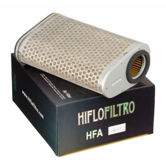 Filtro de Aire Hiflofiltro HFA1929 | RCMotos