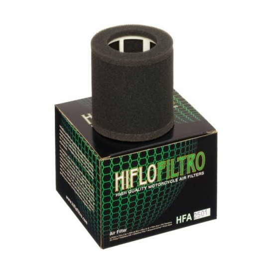 Filtro de Aire Hiflofiltro HFA2501 | RCMotos