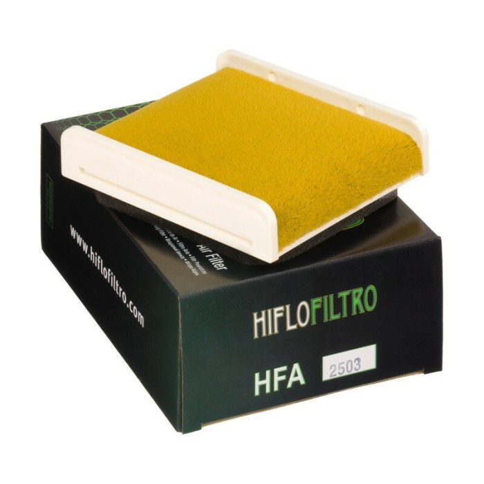 Filtro de Aire Hiflofiltro HFA2503 | RCMotos