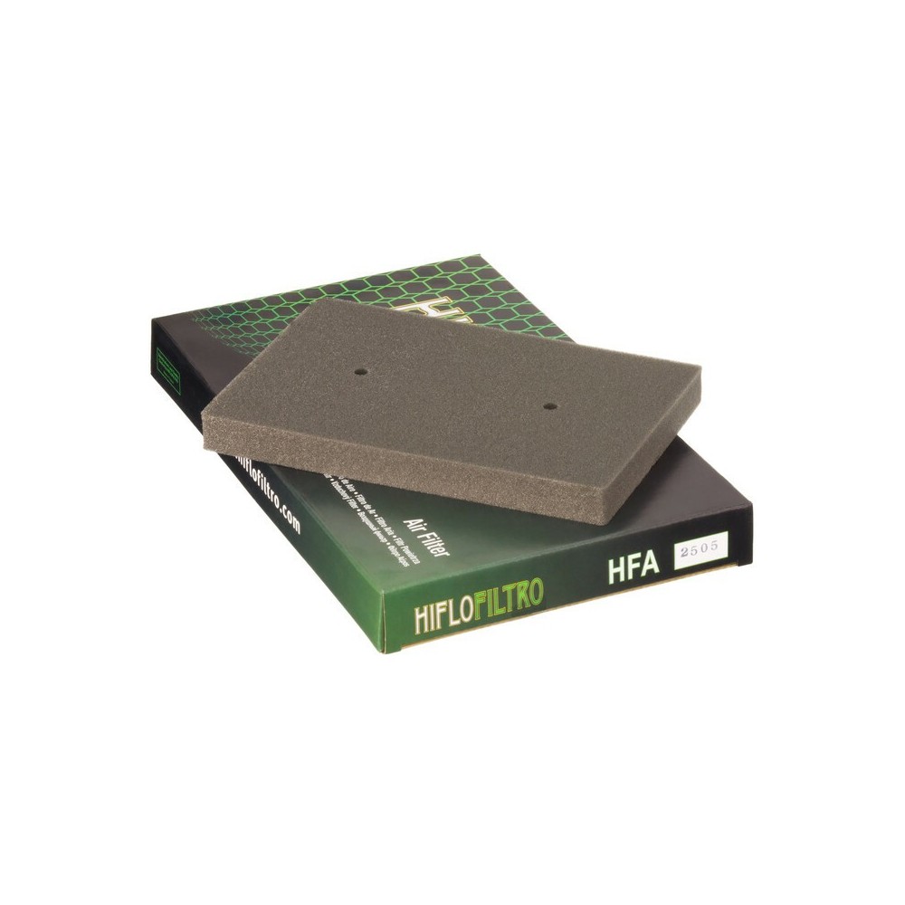 Filtro de Aire Hiflofiltro HFA2505 | RCMotos